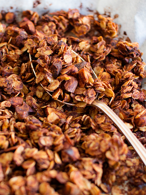 cacao & coconut oil granola | spicyicecream