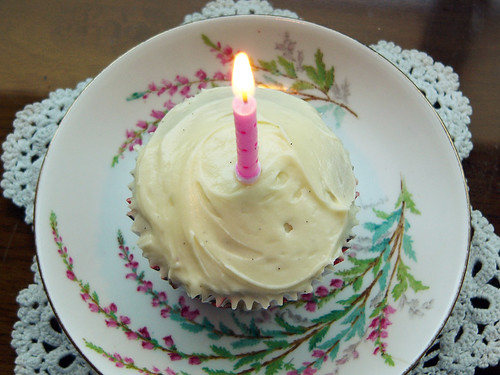 butternut-cupcakes-with-cream-cheese-icing