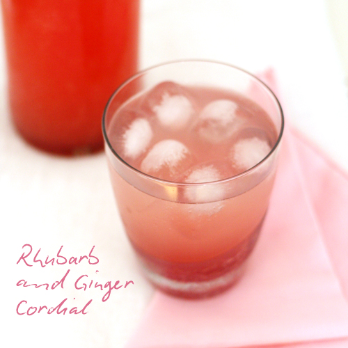 rhubarb ginger cordial