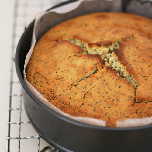 lemon poppyseed cake (14th June)