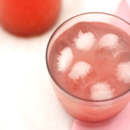 rhubarb & ginger cordial