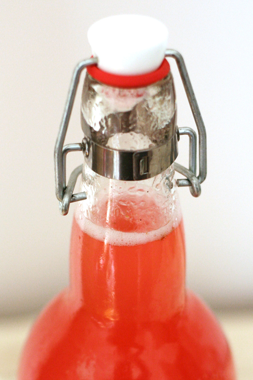 rhubarb & ginger cordial