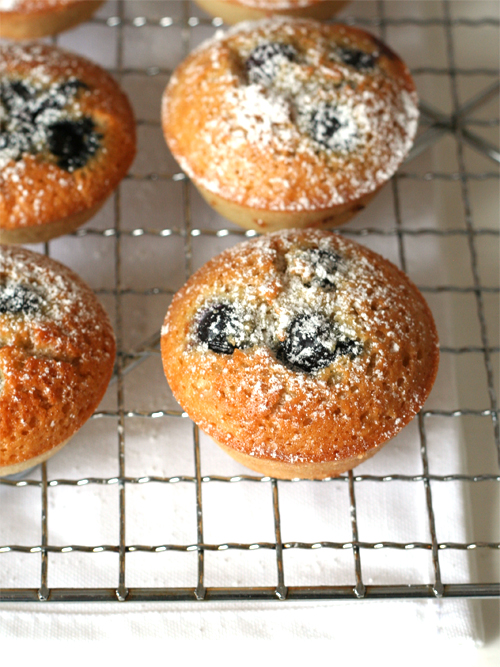 blueberry buckwheat friands