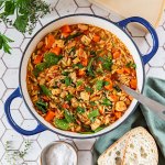 Chunky Chicken Vegetable Orzo Soup