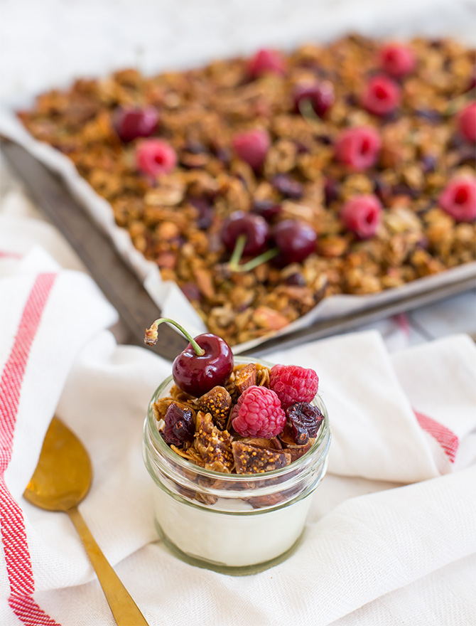 Gingerbread Spice and Fig Granola