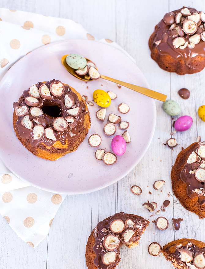 Mini Chocolate Malt Marbled Bundt Cakes