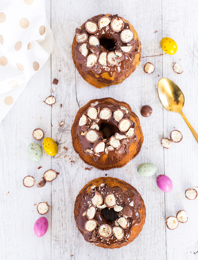 Mini Chocolate Malt Marbled Bundt Cakes