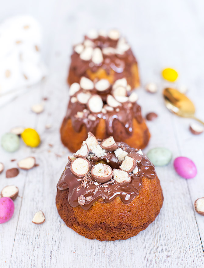 Mini Chocolate Malt Marbled Bundt Cakes