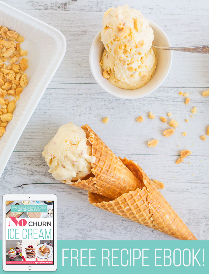 Peanut Butter Crunch Ice Cream Recipe available only in my FREE No Churn Ice Cream Ebook!