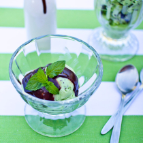 Fresh Mint Chocolate Chip Ice Cream