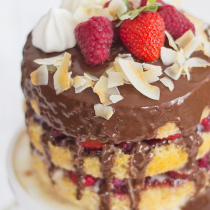 Lamington Tres Leches Cake