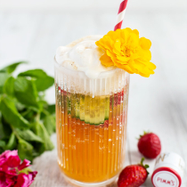 Pimm's Cup 'Spider' Ice Cream Float